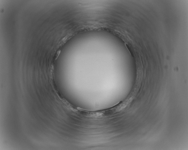 X0000073970576200608210946