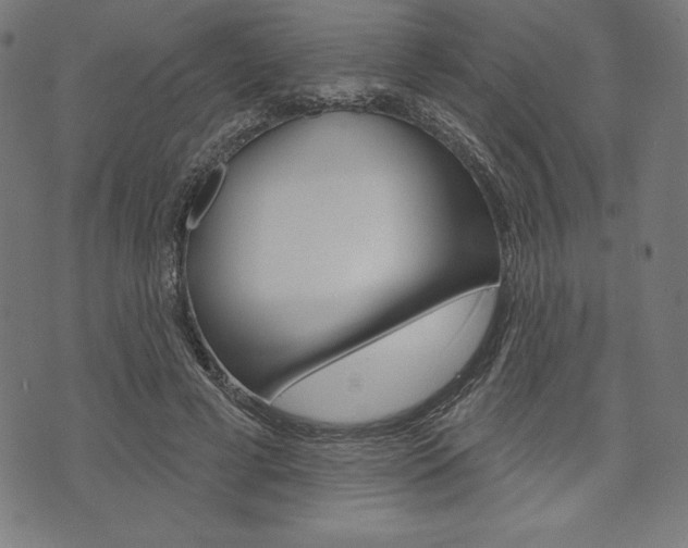 X0000073970593200608210945
