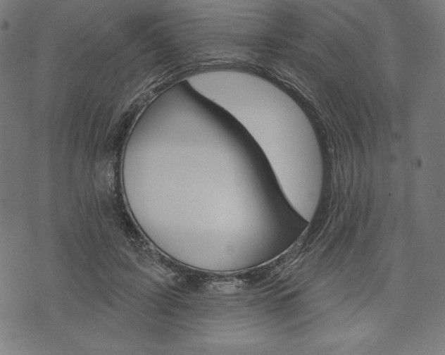 X0000073970595200608210945