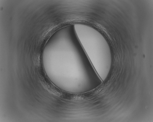 X0000073970596200608210945
