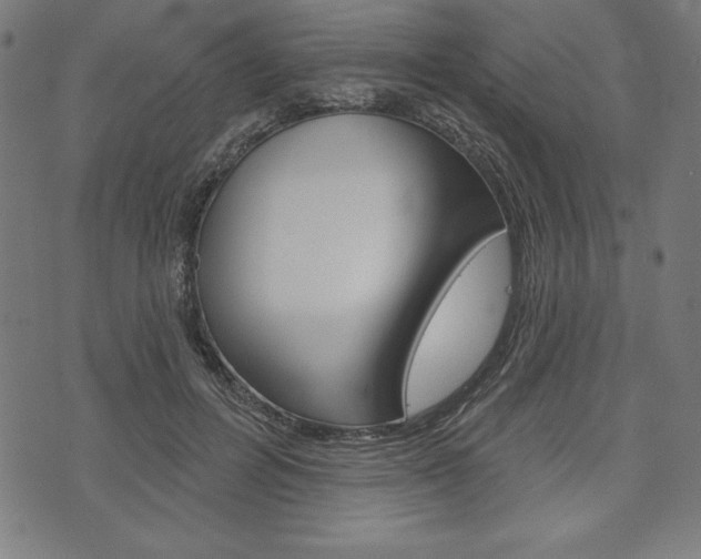X0000073970600200608210945