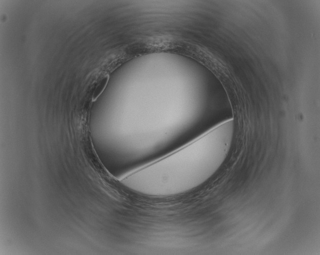 X0000073970601200608210945