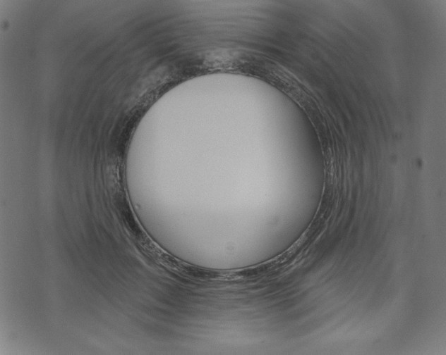 X0000073970603200608210945