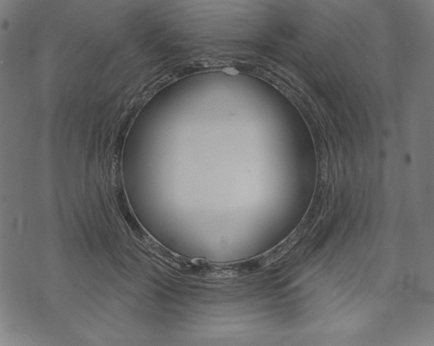 X0000073970604200608210945