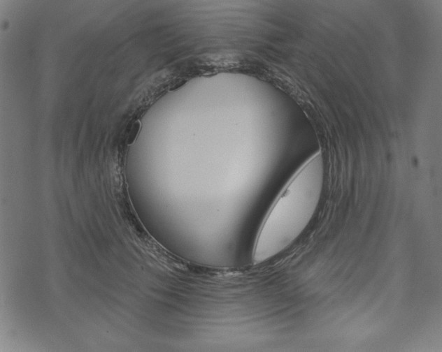 X0000073970609200608210945