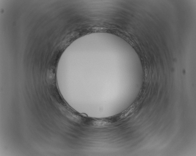 X0000073970614200608210945
