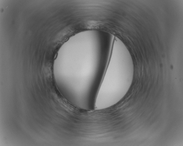 X0000073970620200608210945