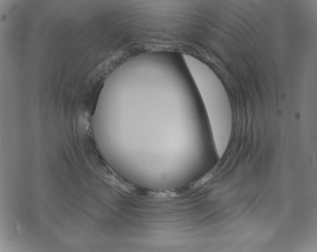 X0000073970621200608210945