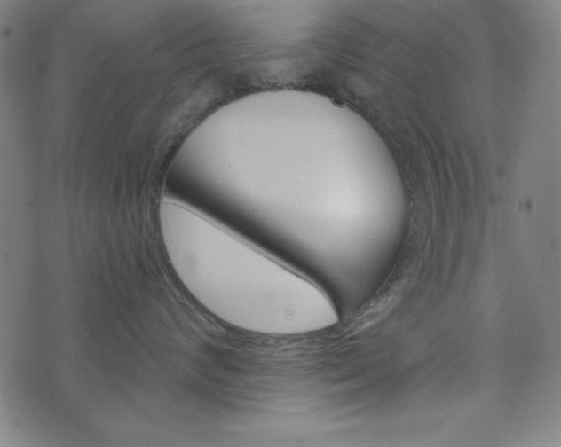 X0000073970624200608210945