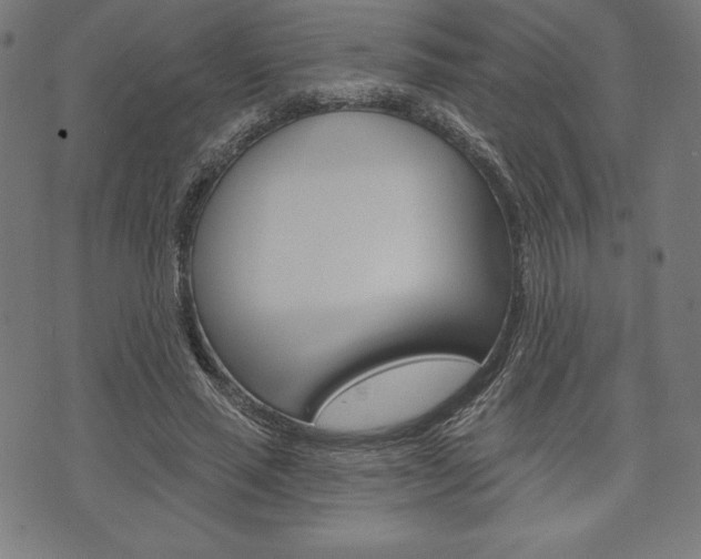 X0000073970637200608210944