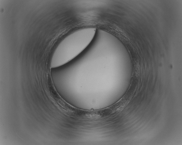 X0000073970644200608210944