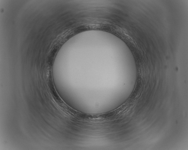 X0000073970645200608210944