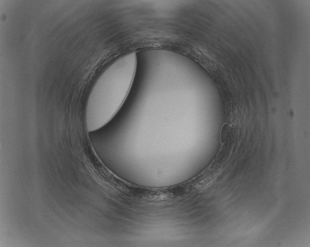 X0000073970646200608210944