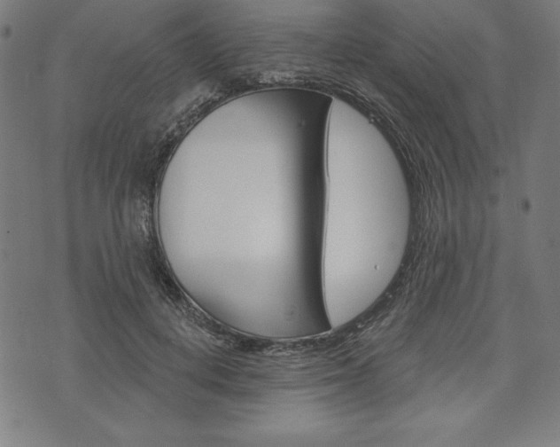 X0000073970648200608210944