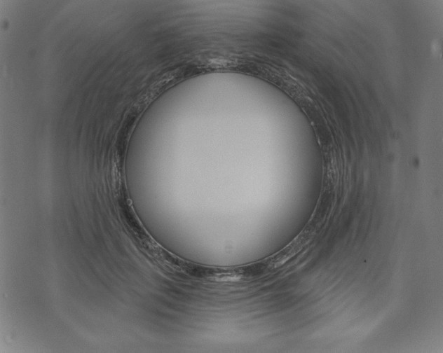 X0000073970651200608210944