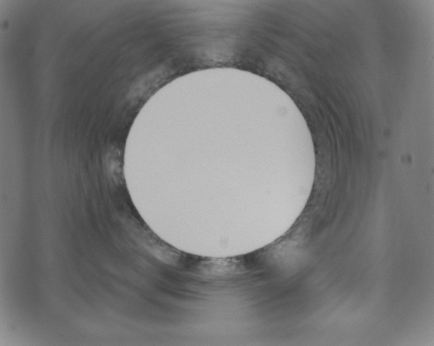 X0000073970672200608210945