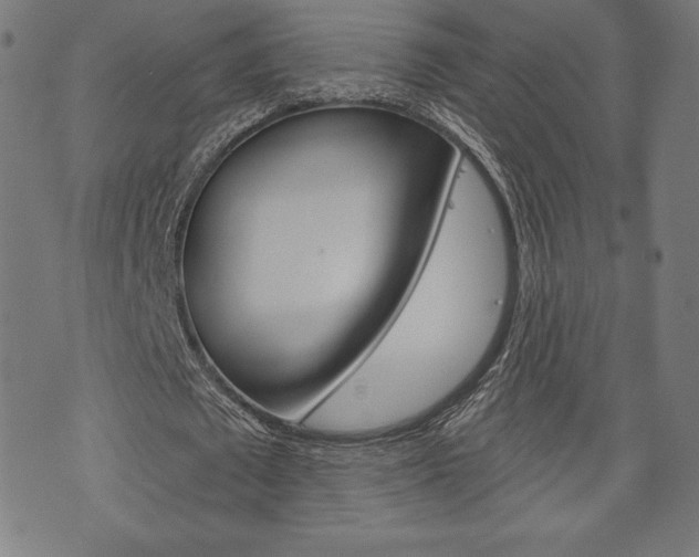 X0000073970673200608210944