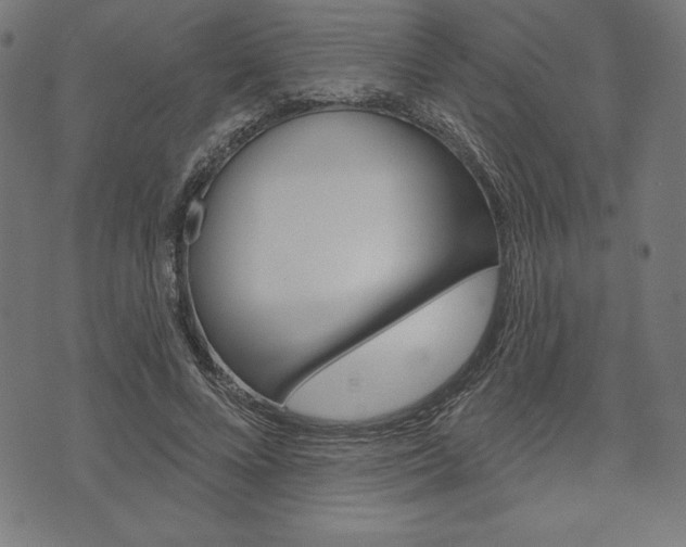 X0000073970688200608210944