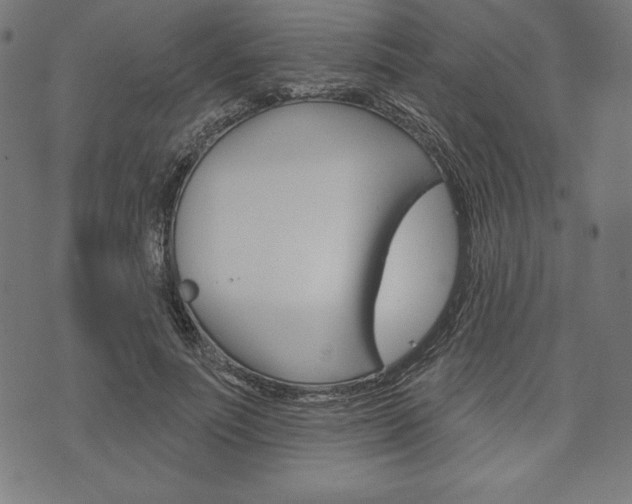 X0000073970691200608210944