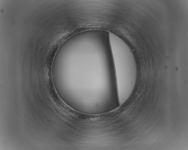 X0000073970692200608210944