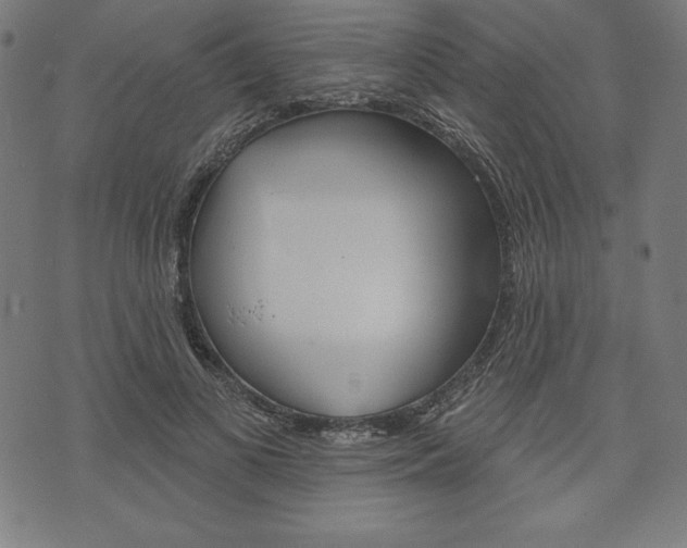 X0000073970693200608210944