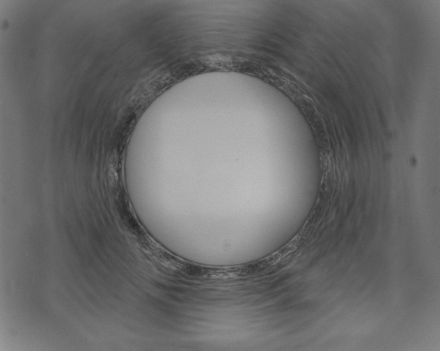 X0000073970702200608210944