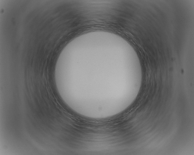 X0000073970705200608210943