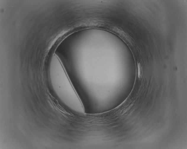 X0000073970723200608210943