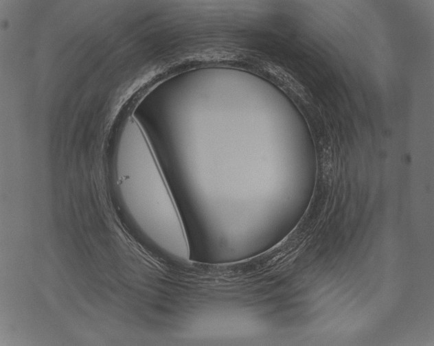 X0000073970727200608210943
