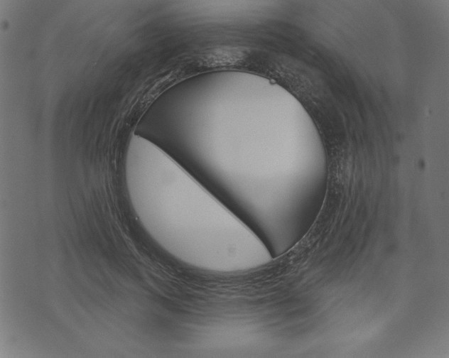 X0000073970743200608210943