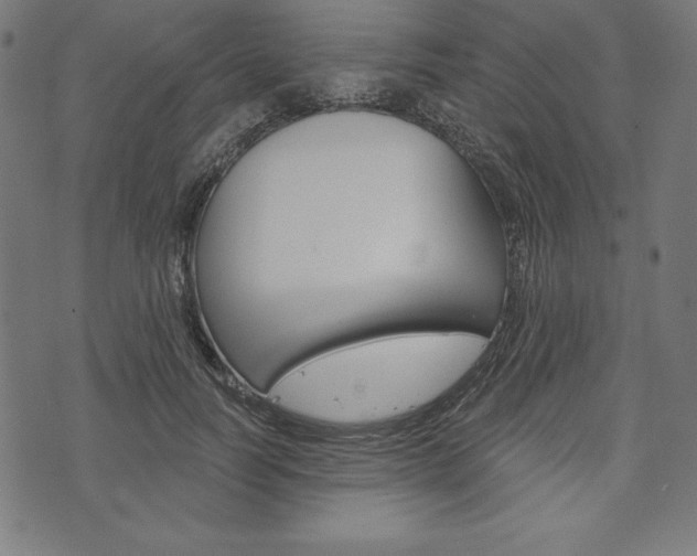 X0000073970746200608210943