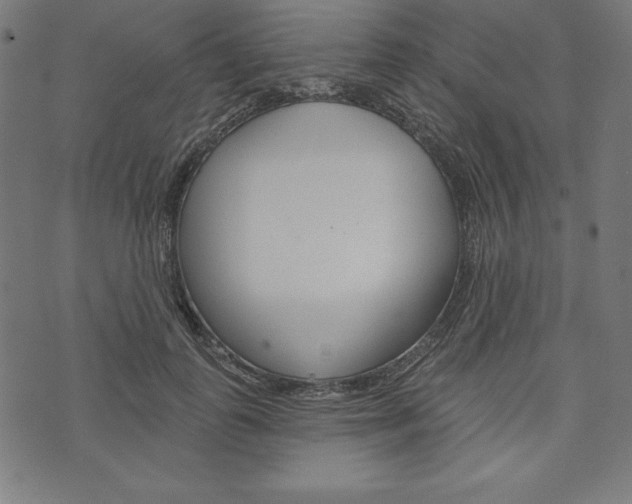 X0000073970747200608210943