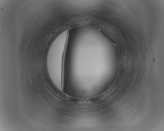 X0000073970752200608210943