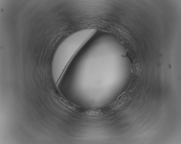 X0000073970756200608210943