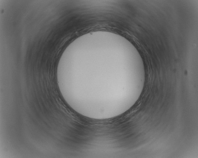 X0000073970762200608210943