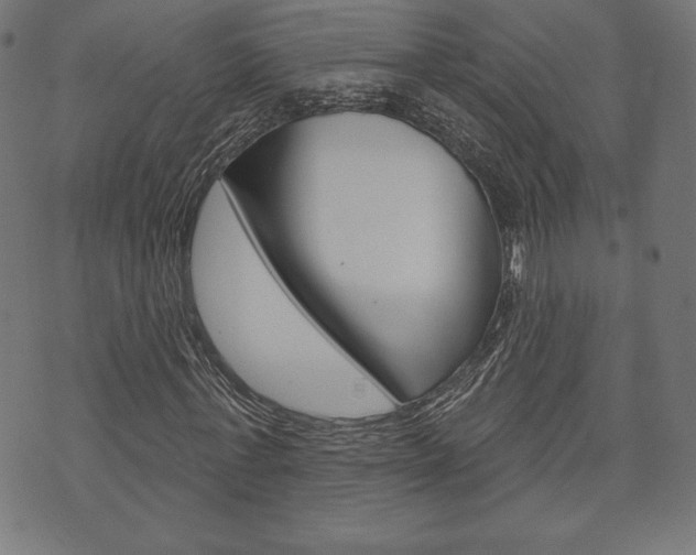 X0000073970771200608210942