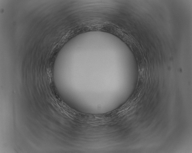 X0000073970772200608210942