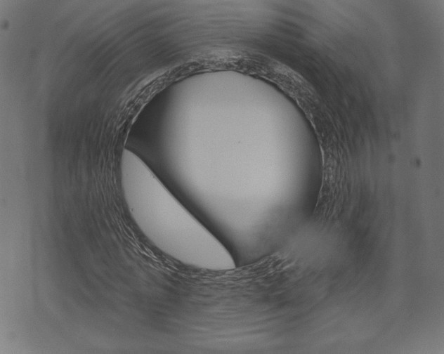 X0000073970773200608210942