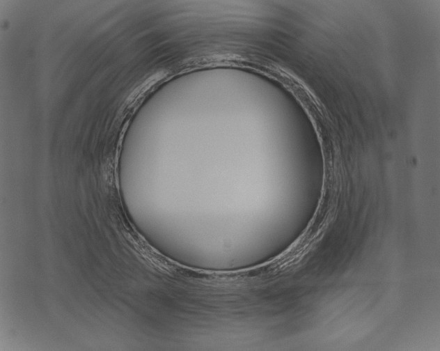 X0000073970785200608210942