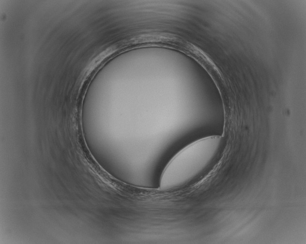 X0000073970786200608210942