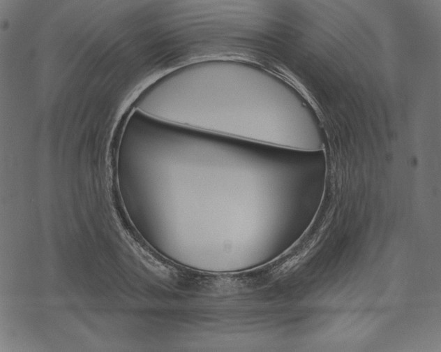 X0000073970787200608210942