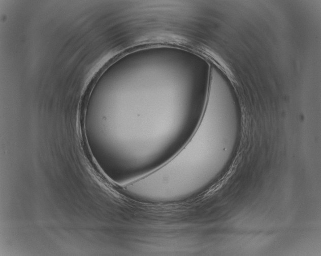 X0000073970788200608210942