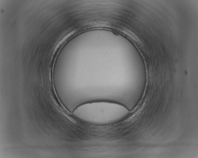 X0000073970790200608210942
