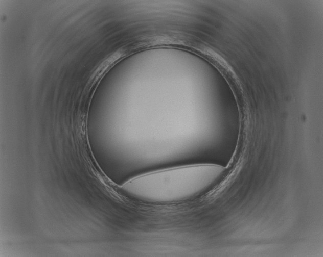 X0000073970793200608210942