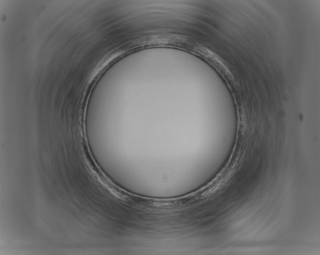 X0000073970794200608210942