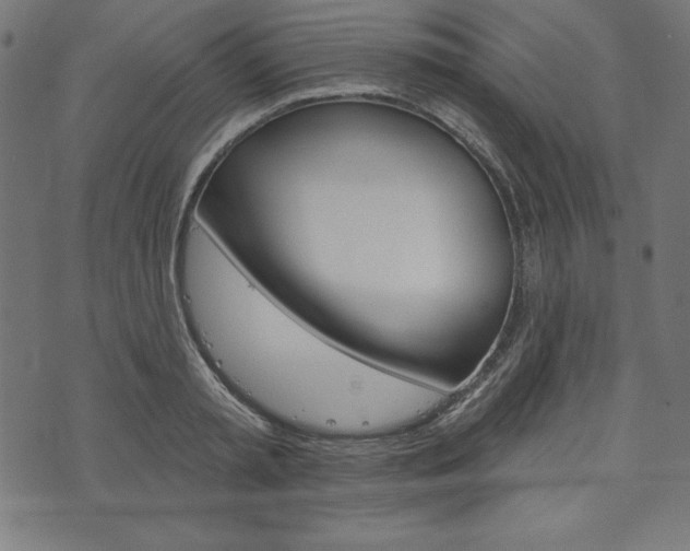X0000073970797200608210942