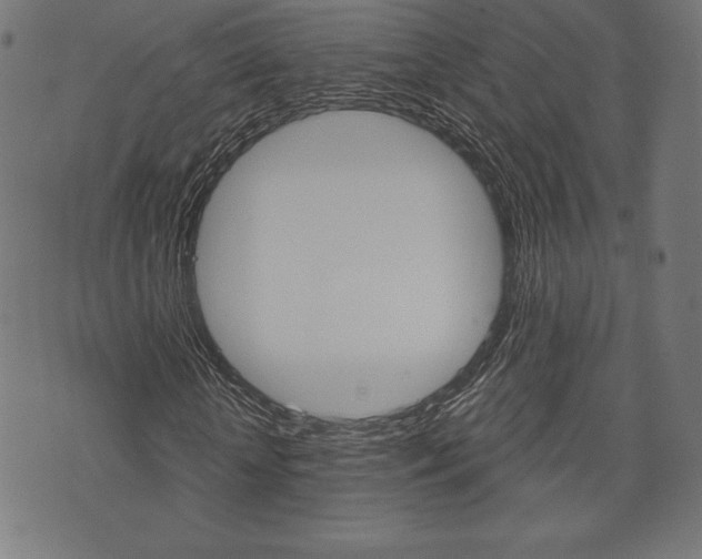 X0000073970818200608210941