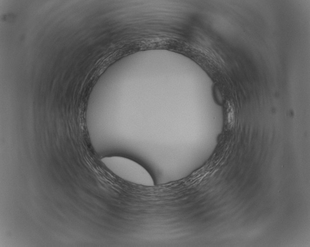 X0000073970819200608210941