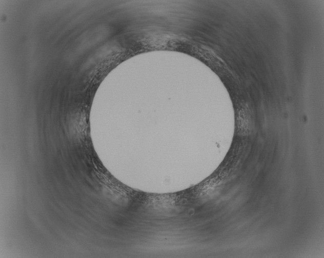 X0000073970820200608210941