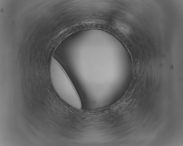 X0000073970821200608210941